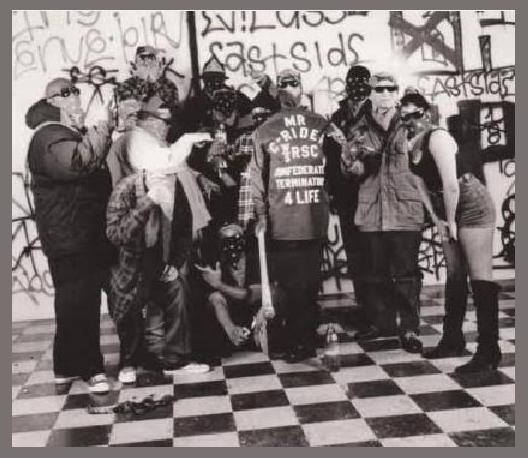 Bloods and Crips